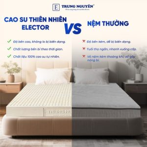 Alternative view of Nệm Cao Su Thiên Nhiên Trung Nguyên Classic