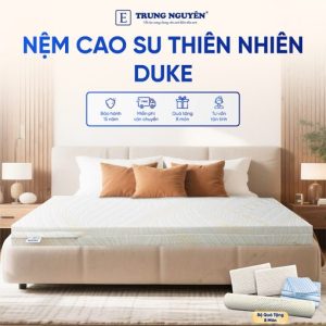 Nệm Cao Su Thiên Nhiên Trung Nguyên Gold