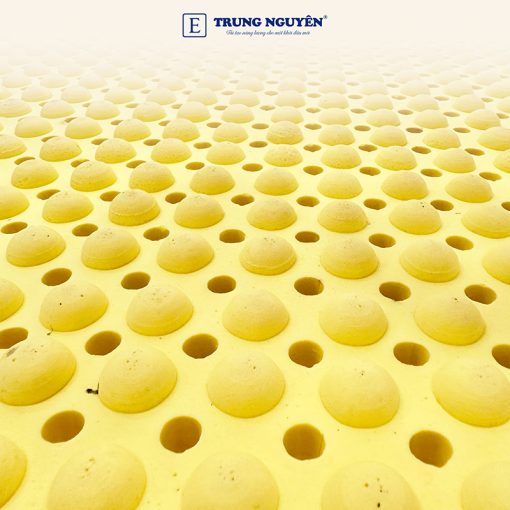 Nệm Cao Su Thiên Nhiên Trung Nguyên Massage - Ảnh 3