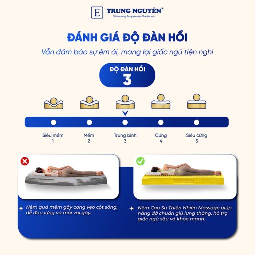 Nệm Cao Su Thiên Nhiên Trung Nguyên Massage - Ảnh 5