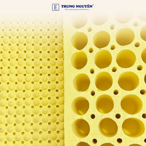 Nệm Cao Su Thiên Nhiên Trung Nguyên Massage - Ảnh 4